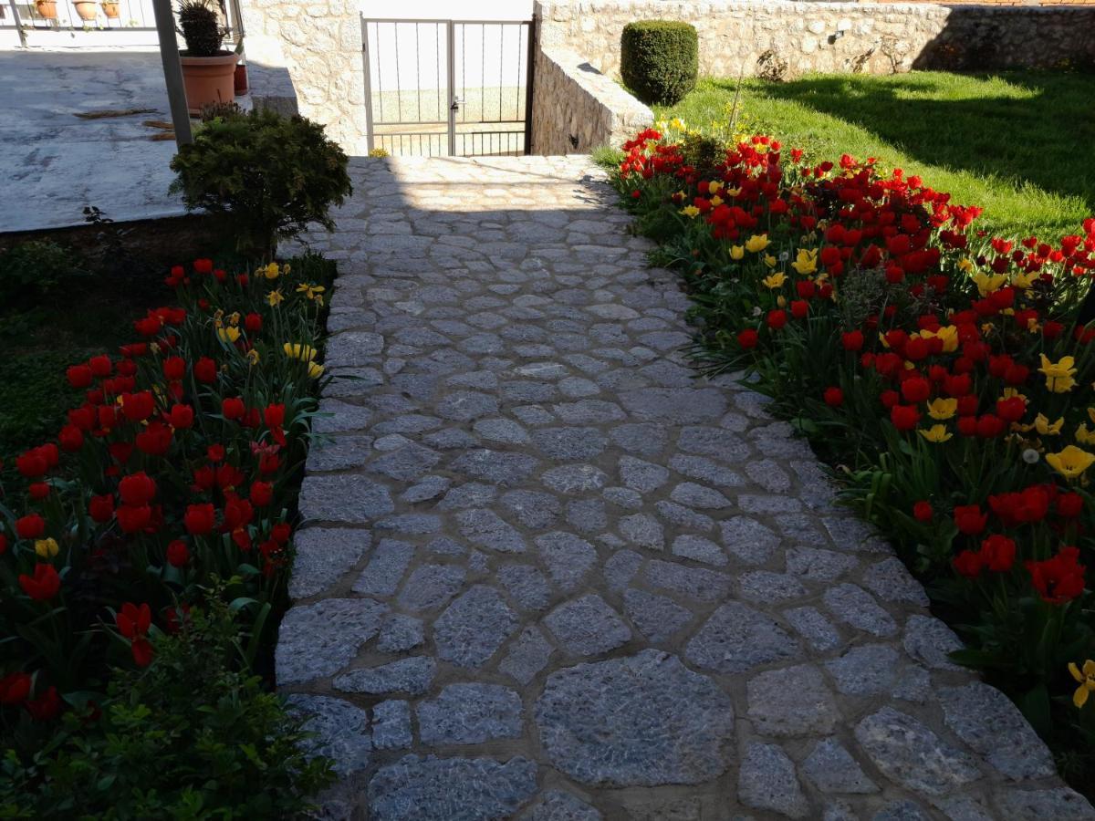 Villa Bella Ohrid Extérieur photo
